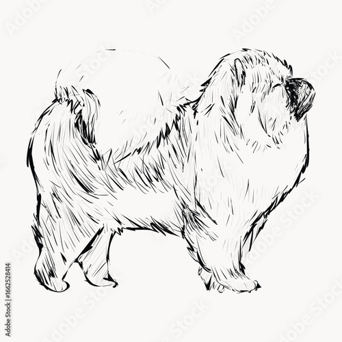 Chow Chow dog animal illustration vector