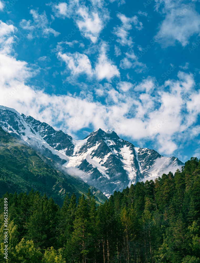 Fototapeta premium Snow-capped Caucasus mountain peaks rise above lush green forests under a vibrant blue sky during a sunny day in the mountains