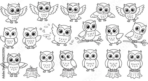 Whimsical Owl Outlines: A Collection of Cartoon Birds in Various Poses and Settings