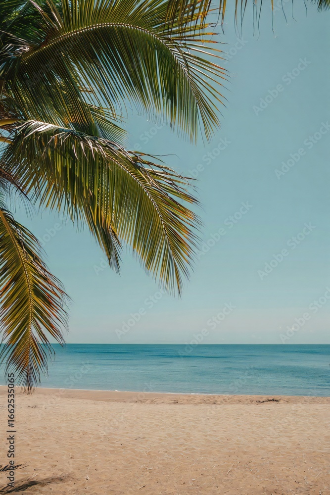 Fototapeta premium Beach Background Tropical Beach Paradise Palm Fronds Frame Ocean and Sandy Shore