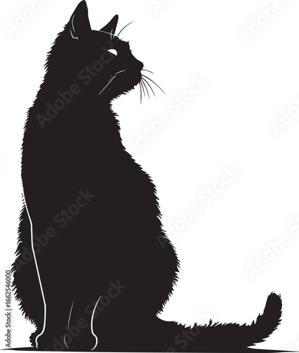 A black cat sitting in profile against a white background.