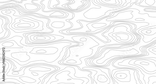 Topographic contour map. similarcartography illustration. Business concept. Fish Fillet Texture, Salmon fillet texture, fish pattern. 