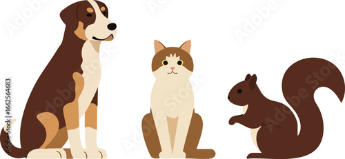 Dog cat and squirrel sitting together in simple flat style vector illustration of pets and wildlife animals 