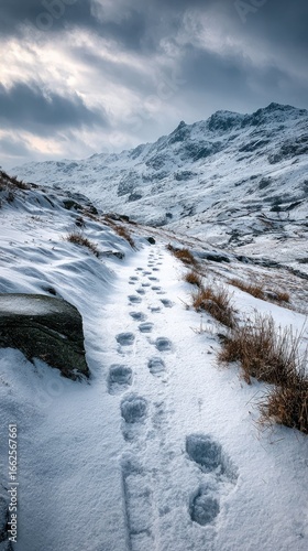Snow-covered path leading to distant mountains under a dramatic sky