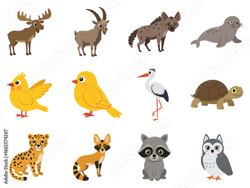 Charming Woodland Characters A Delightful Collection of Forest Fauna