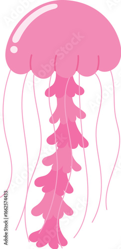 friendly pink jelly cartoon , cute underwater jellyfish character, sea life animal head, isolated child aquamarine life illustration