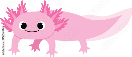 friendly pink axolotl cartoon , cute exotic axolotl character, sea life animal, isolated child aquamarine life illustration