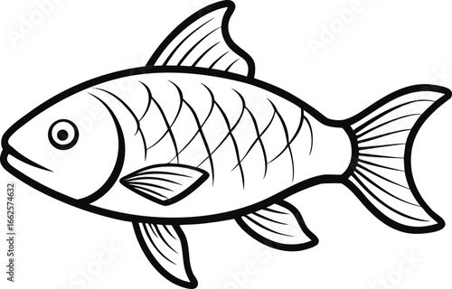 roach fish outline vector illustration on white background