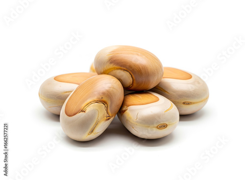 Jackfruit seeds isolated on white background