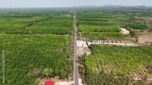 Drone video of a scenic journey on a straight road through endless green rubber tree forests on a sunny day.