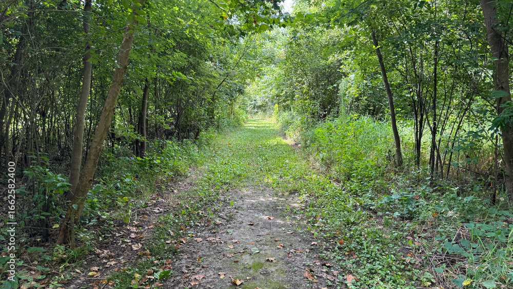 Obraz premium path through Nebraska wildlife area