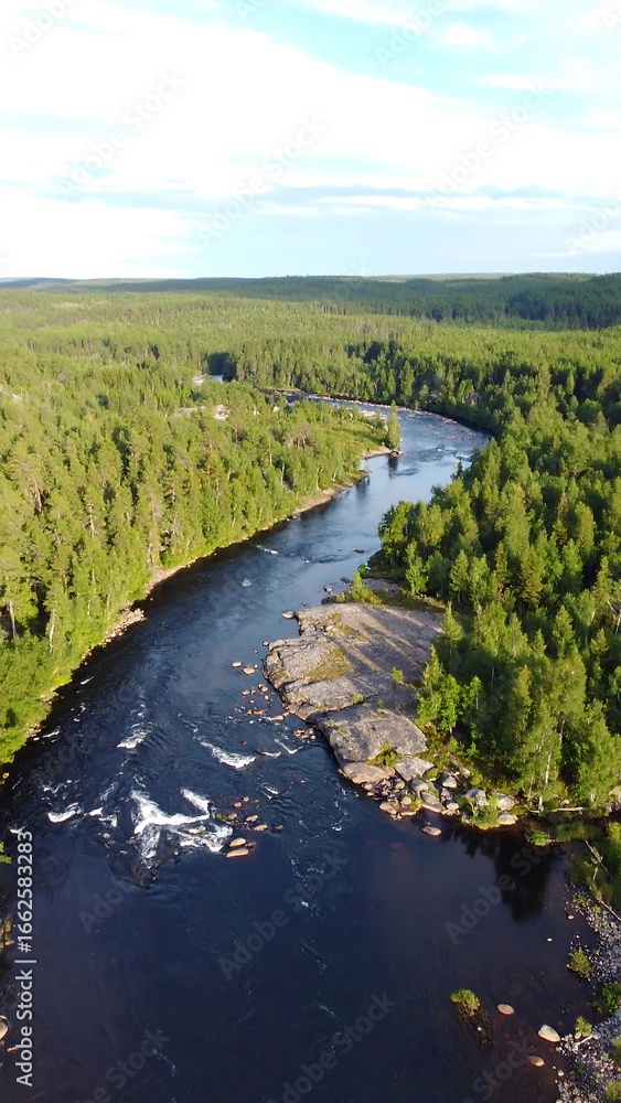 Fototapeta premium Aerial View of River Bend in Forest