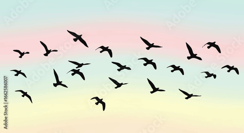 A serene flock of birds flying in silhouette against a gentle pastel colored sky, symbolizing freedom, journey, and unity.