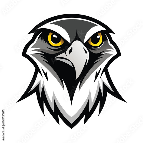 A symmetrical logo of a trained falcon's face, perfect for falconry related brands
