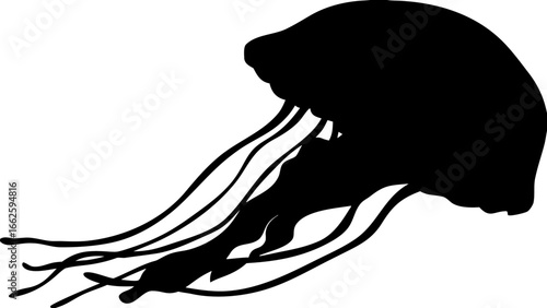 Silhouette illustration of a jellyfish with long tentacles swimming in the deep blue sea ocean life form 100