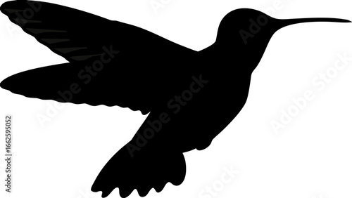 Silhouette of a hummingbird in flight showcasing its wings and long beak against a plain background