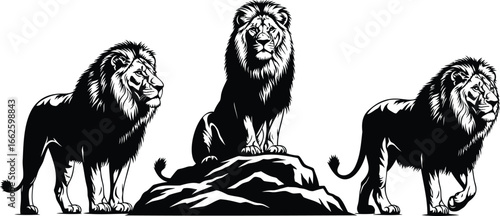 lion with mane big cat black silhouette logo set, vector illustration of a lion