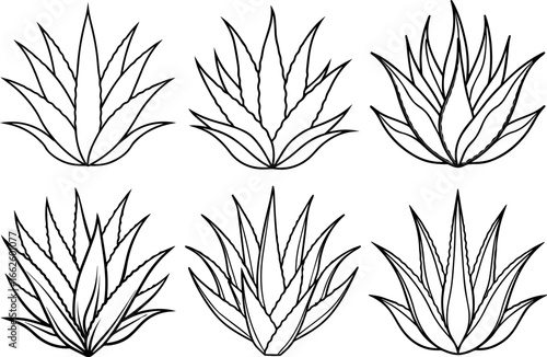 Set of aloe vera outline vector illustration line art