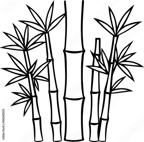 bamboo plant outline vector illustration line art
