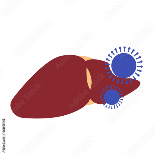 Viral Hepatitis Vector Illustration