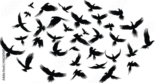 Flying bird silhouettes, flock in motion, avian species, wing spread, nature art, vector illustration, wildlife icon, animal design, sky flight, migration pattern