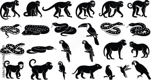 Jungle animal silhouettes, monkey snake bird jaguar, tropical wildlife, vector illustration, nature art, exotic fauna, rainforest icon, predator prey, animal design, wild species
