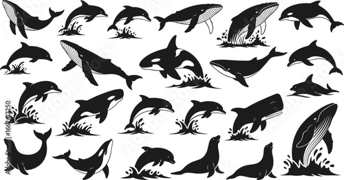 Marine mammal silhouettes, whale dolphin orca seal sea lion, ocean wildlife, vector illustration, nature art, aquatic fauna, underwater design, marine life icon