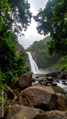 Waterfall in lush forest