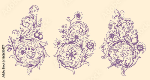 Vintage Baroque Victorian frame border flower pattern vector floral engraved scroll ornament leaf retro decorative design. filigree calligraphic heraldic shield swirl