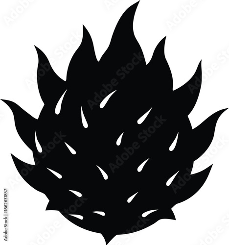 dragon fruit silhouette vector