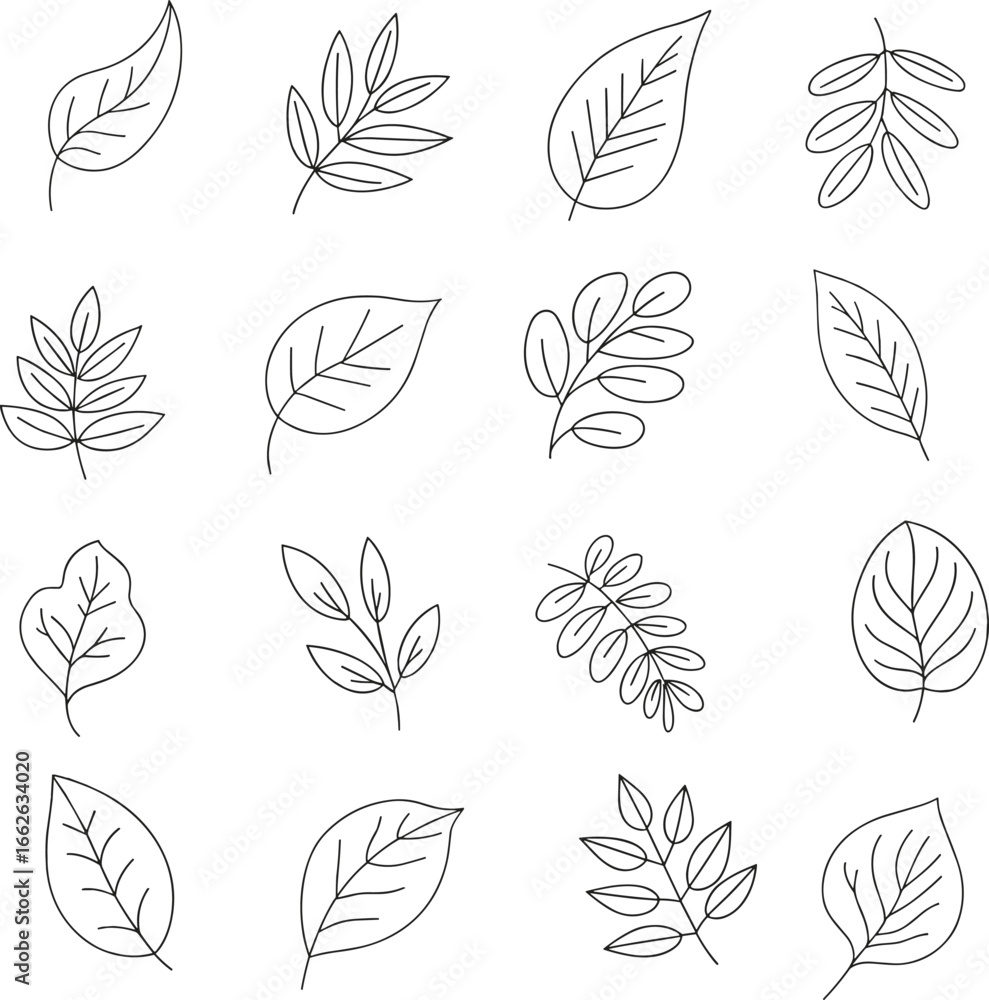 Collection of hand-drawn leaf illustrations in black and white, nature elements, botanical designs for seamless patterns or decor