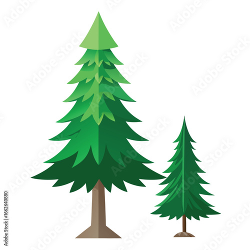 A motionless evergreen tree with stationary appeal, isolated on a clean background.