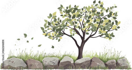 A solitary deciduous tree with green leaves stands on a grassy bank with rocks