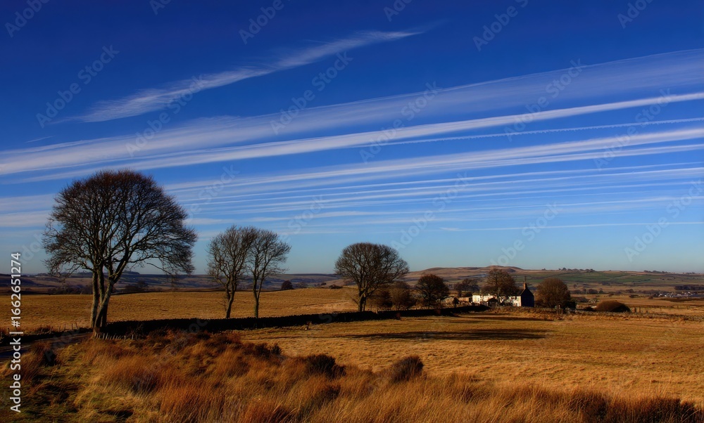 Obraz premium Open Sky Over Autumn Field