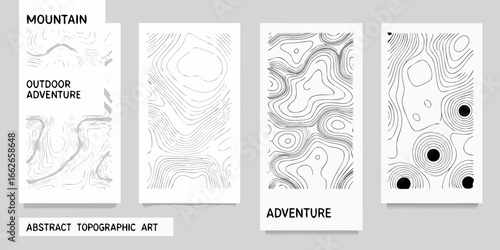 Abstract Topographic Art Collection topographic map