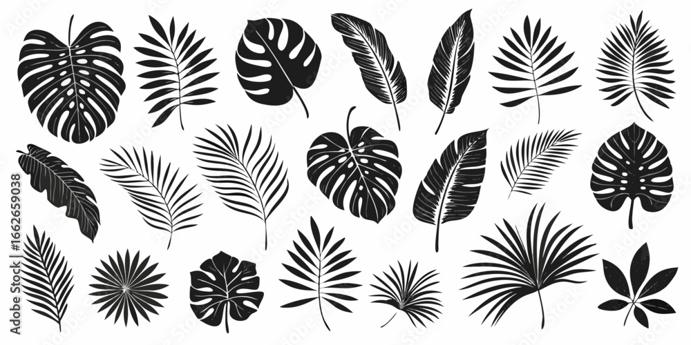 Collection of Black Tropical Leaves Silhouettes plant Collection of Black Tropical Leaves Silhouettes plant