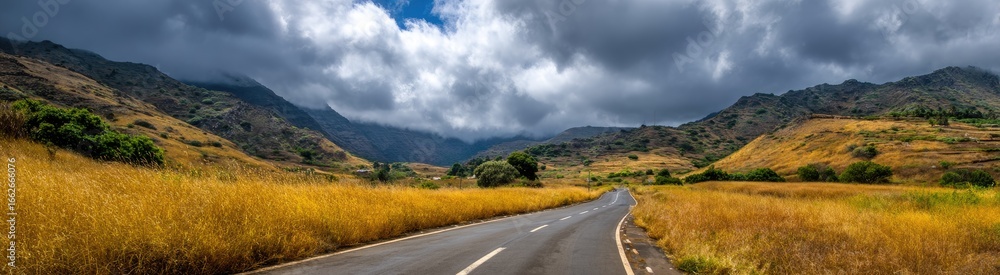 Fototapeta premium Winding Road Through Fields