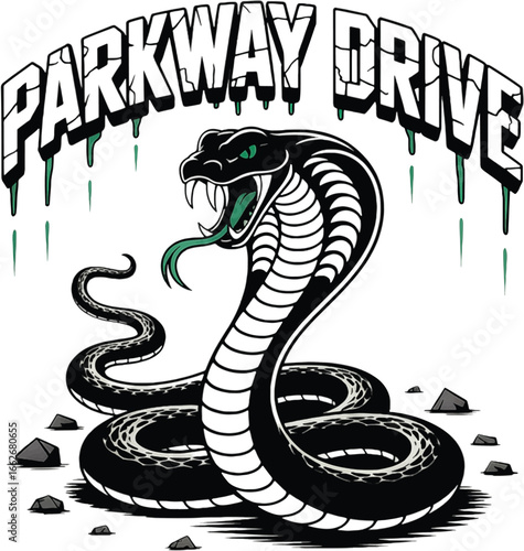 Cobra snake with Parkway Drive text above on white background reptile animal