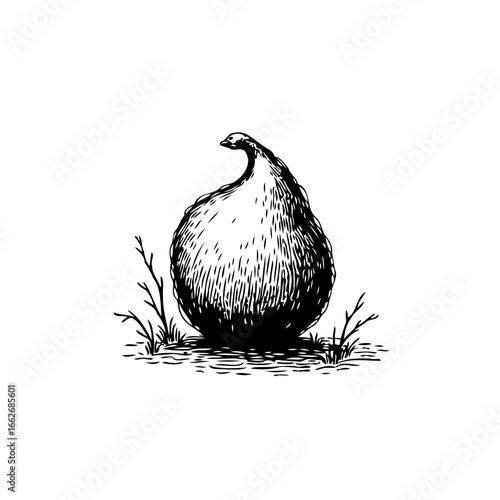 Abstract organic shape illustration with detailed hatching texture creating a unique artistic