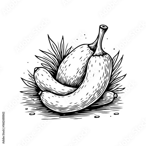 Detailed botanical drawing featuring organically arranged gourds with leafy accents evoking