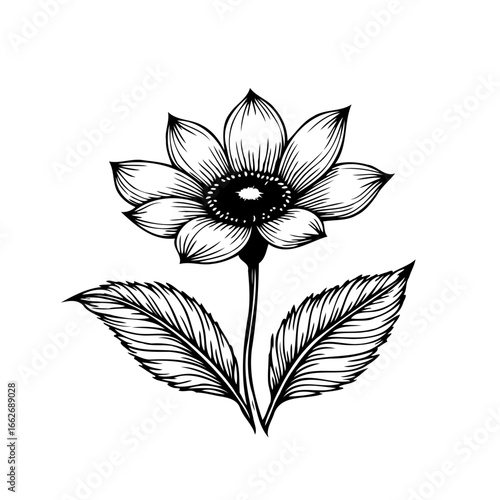 Detailed monochrome botanical illustration portraying a single flower with leaves evokes a sense