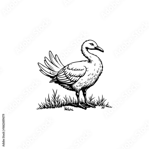Elegant feathered creature standing serenely amidst lush grasses evokes a sense of nature's