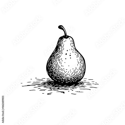 Elegant monochrome pear illustration showcasing fine line art and creating a charming vintage