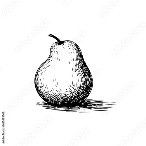 Elegant pear illustration demonstrating detailed hatching technique for realistic depiction in
