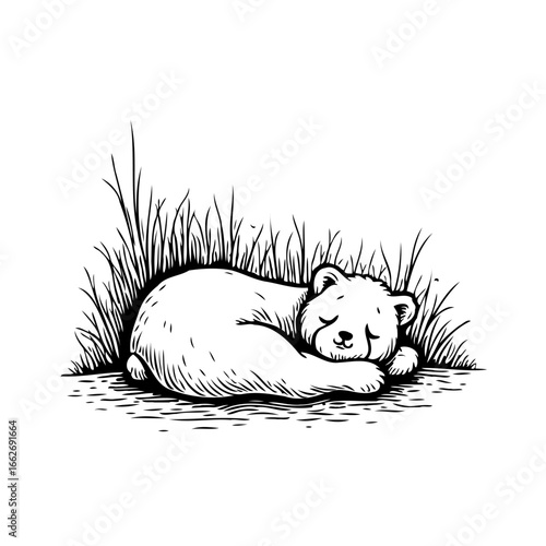Illustrative slumbering bear cub nestled within grassy meadow exudes serenity in black and white