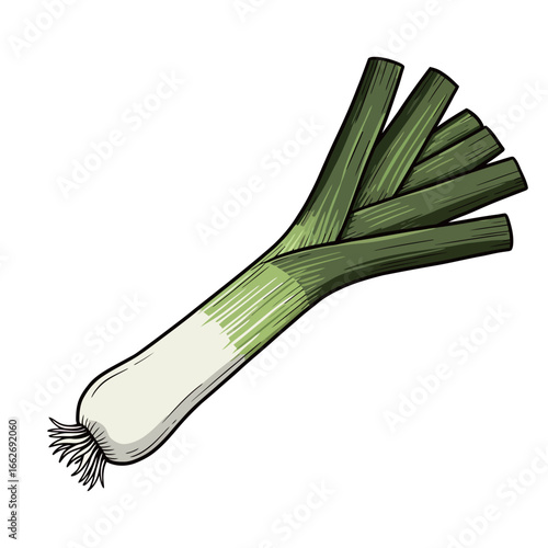 vector black and white silhouette of leeks on a white background