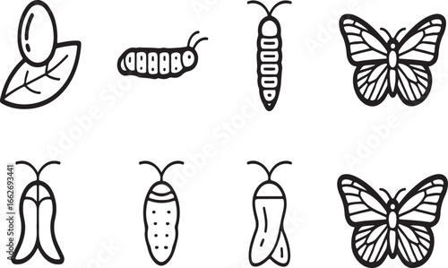 Black and White Icons of Caterpillar, Pupa, and Butterfly