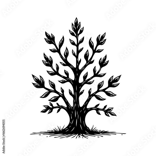 Stylized arboreal silhouette graphic presentation showcasing detailed foliage and branching
