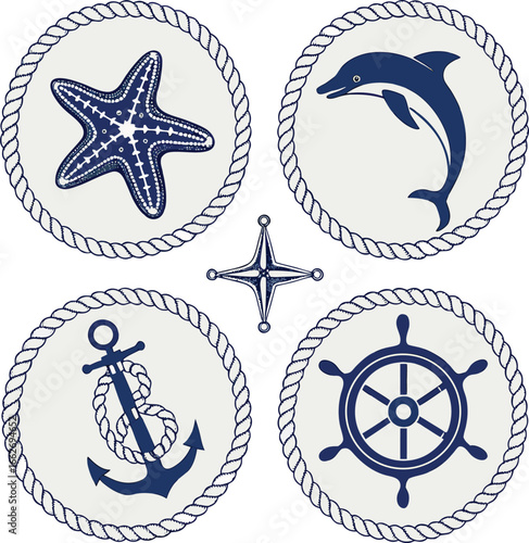 Vector of Nautical symbols collection featuring starfish dolphin anchor and ship wheel.
