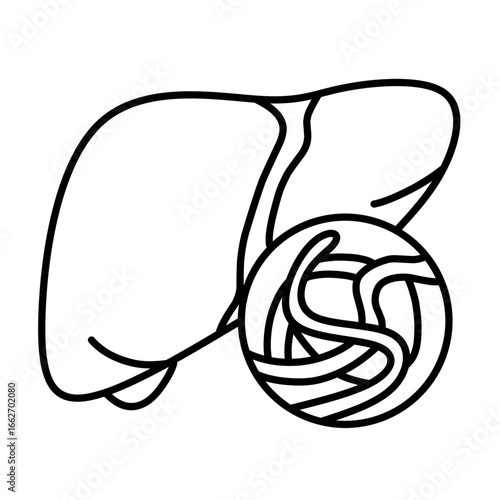 Liver diseases icon vector